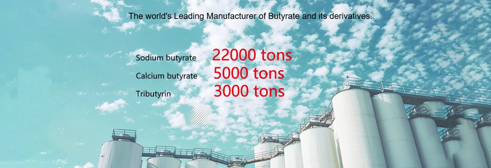 সোডিয়াম বাটাইরেট পাউডার