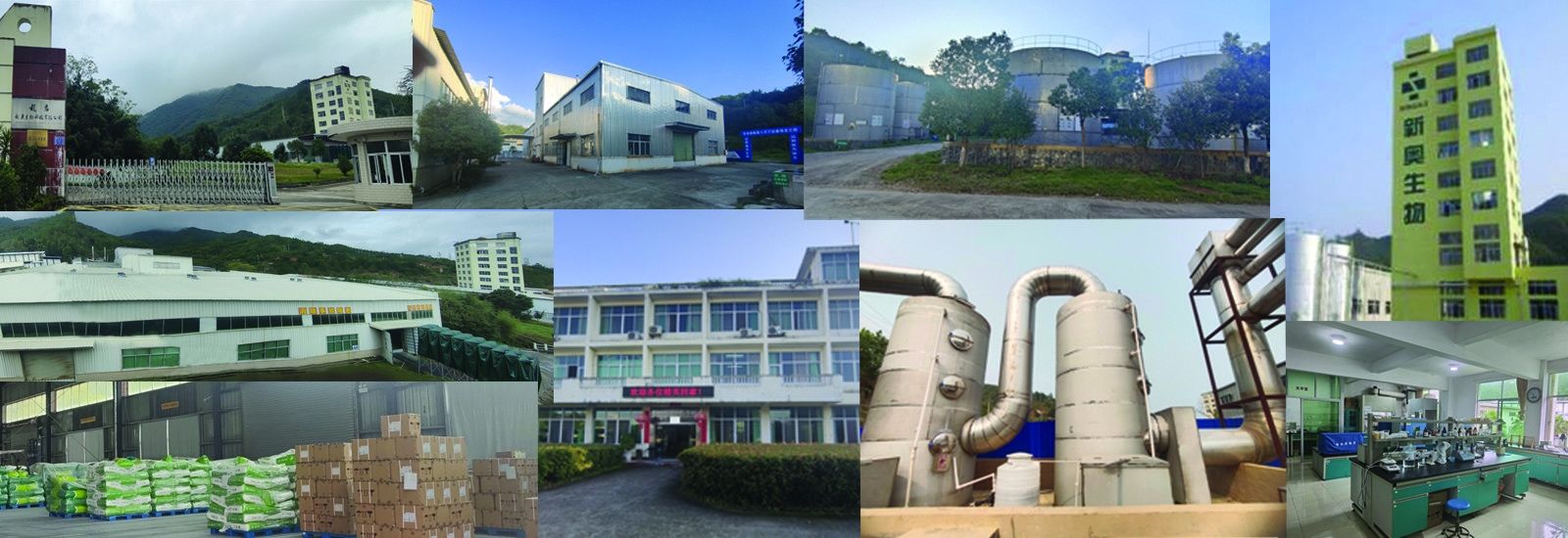 সংক্ষিপ্ত চেইন ফ্যাটি অ্যাসিড বুটিরেট