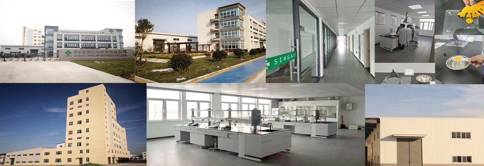 লেপযুক্ত সোডিয়াম বুটিরেট