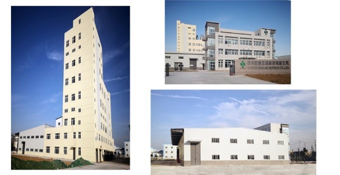 Singao (Xiamen) Agribusiness Development Co., Ltd. কারখানা উত্পাদন লাইন