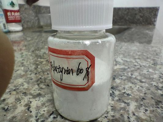 60% Minimum Tributyrin Powder Growth Promotion For Swine