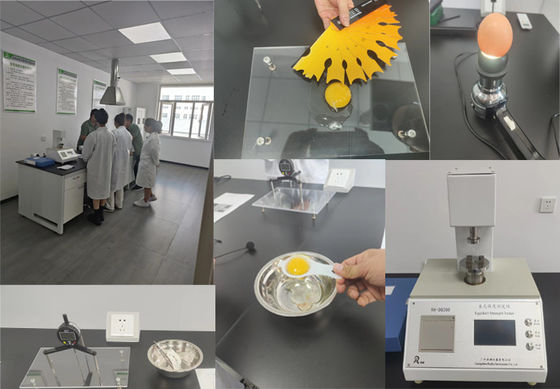 Ball Shape Granule Microencapsulated Sodium Butyrate 90% For Pets