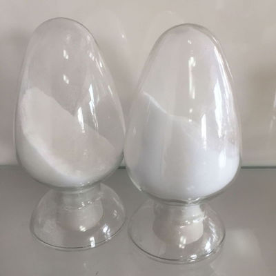 Feed Grade 99% Sodium Butyrate Powder With Stinky Odour