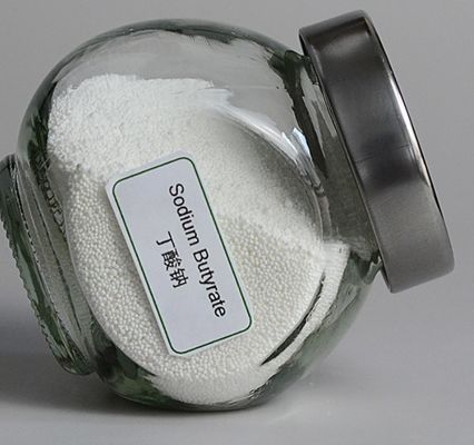 5743-36-2 70% Calcium Butyrate Powder Plus Bacillus Licheniformis White