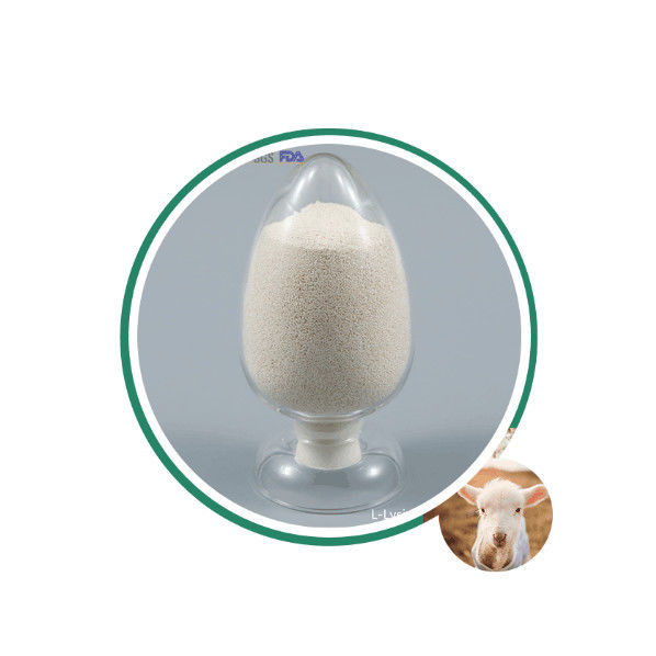 ধীর মুক্তি 80% লেপযুক্ত ক্যালসিয়াম বুটিরেট 50% প্লাস সোডিয়াম বুটিরেট 30% CAS 5743-36-2 For Aqua