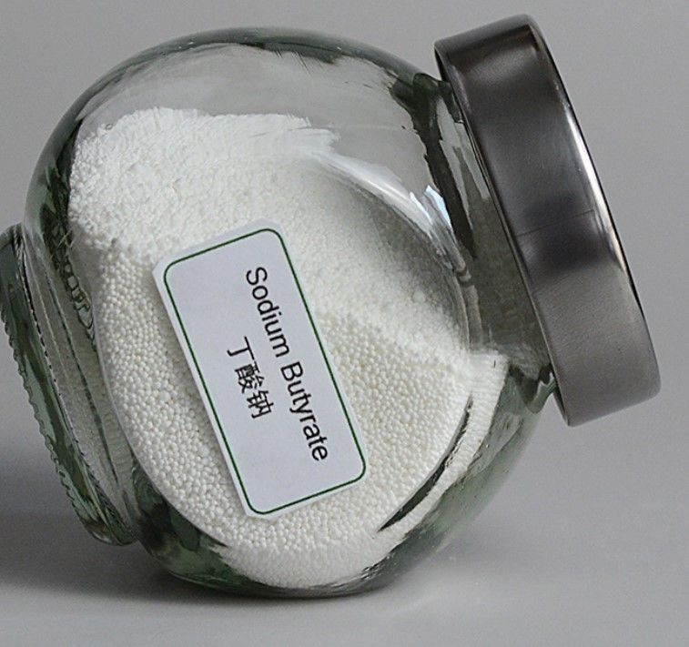 5743-36-2 70% Calcium Butyrate Powder Plus Bacillus Licheniformis White