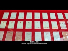 singao ভূমিকা